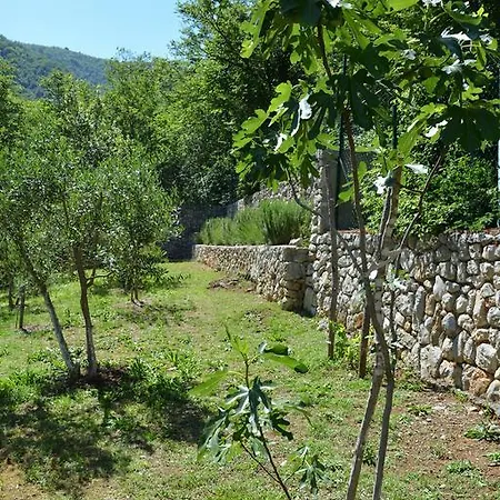 Apartman Osha Apartment *